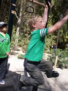 Sean, the monkey at the zoo